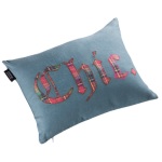 coussin-chic_ZOa